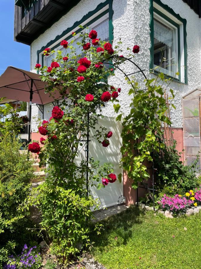 Ferienwohnung Sonnschein 바트 미테른도르프 외부 사진