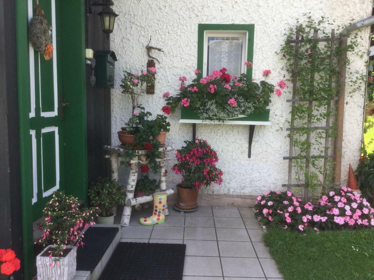 Ferienwohnung Sonnschein 바트 미테른도르프 외부 사진